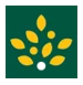 Morrisons logo